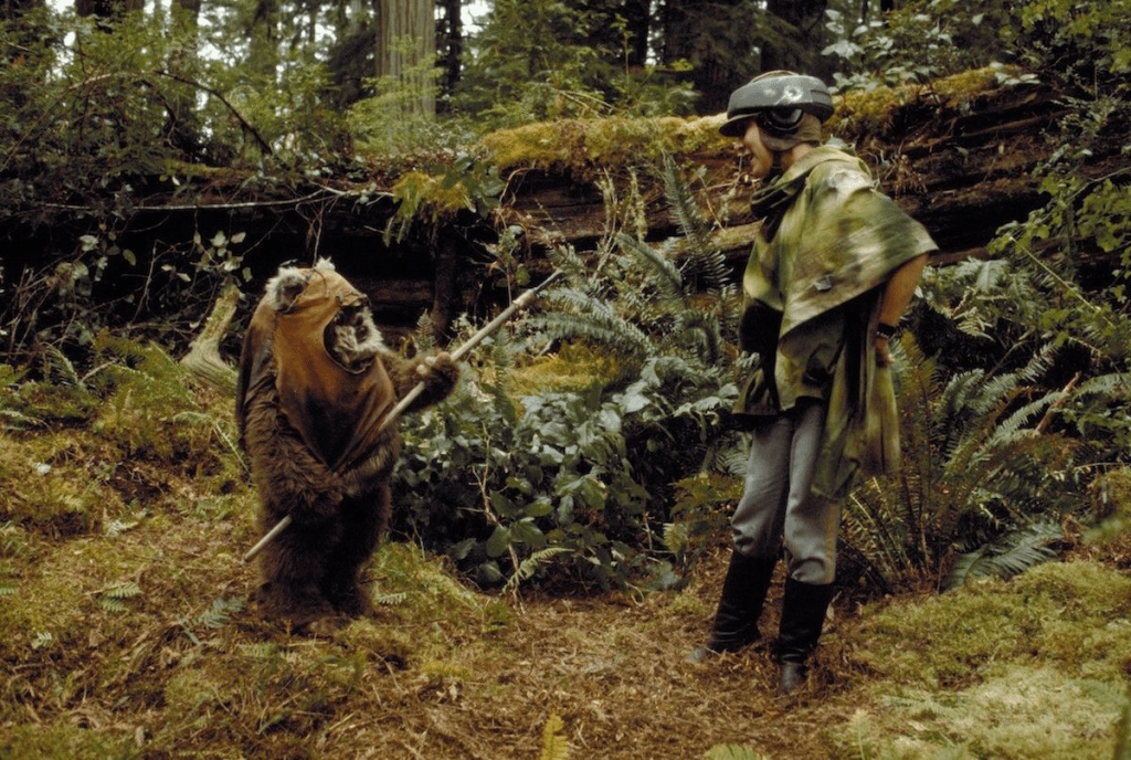 The ewok wicket pointing a spear at Princess Leia, dressed in a camo poncho and helmet from the movie Return of the Jedi.